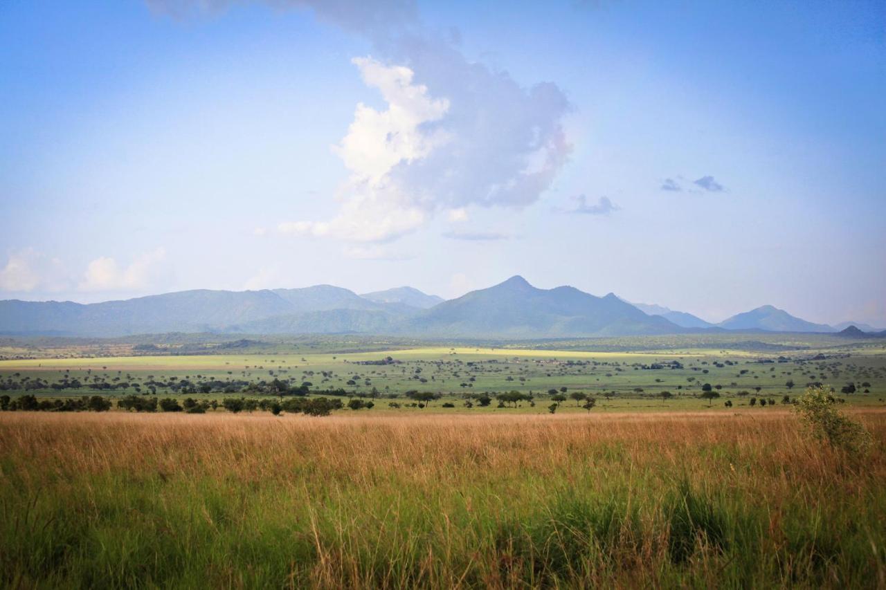 Apoka Safari Lodge Loitanit Bagian luar foto